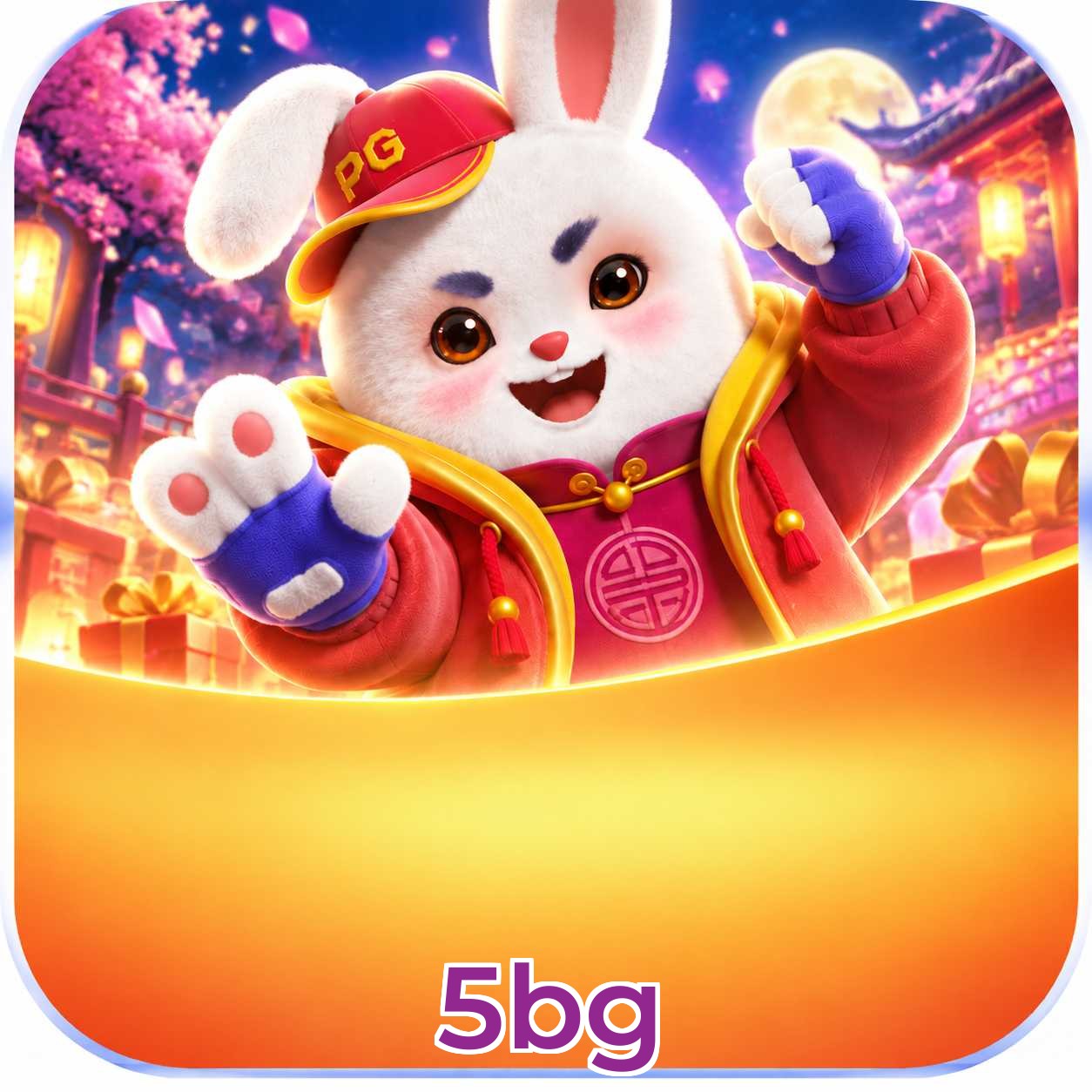 5bg Live Casino Overview